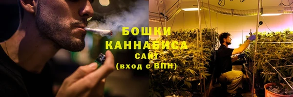 индика Балабаново
