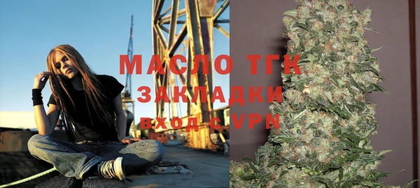 индика Балабаново