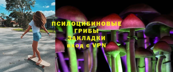 молекула духа Баксан