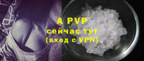 индика Балабаново