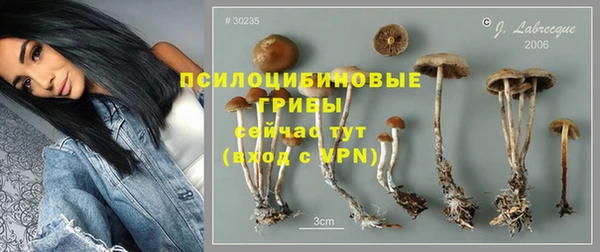 молекула духа Баксан