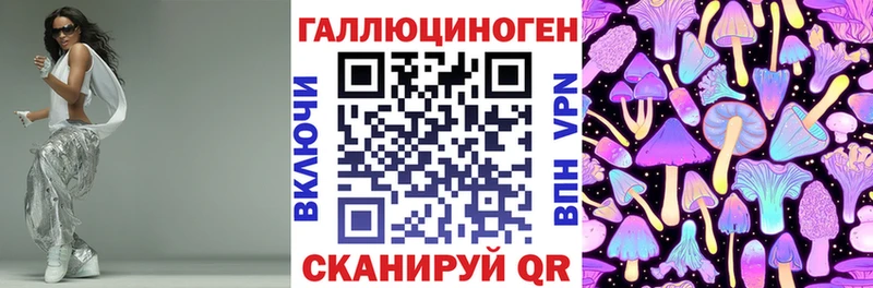 что такое   Лесной  МЕГА как войти  Псилоцибиновые грибы Psilocybe 